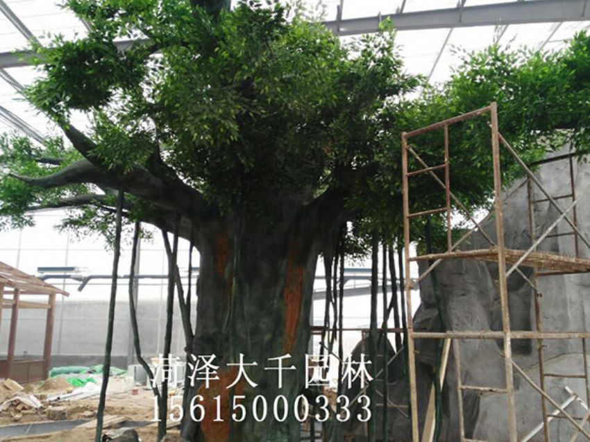 點擊查看詳細信息<br>標題：假樹 閱讀次數：1596