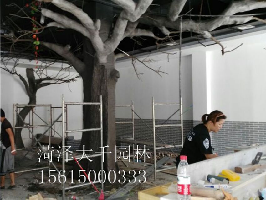 點擊查看詳細信息<br>標題：假樹 閱讀次數：1535