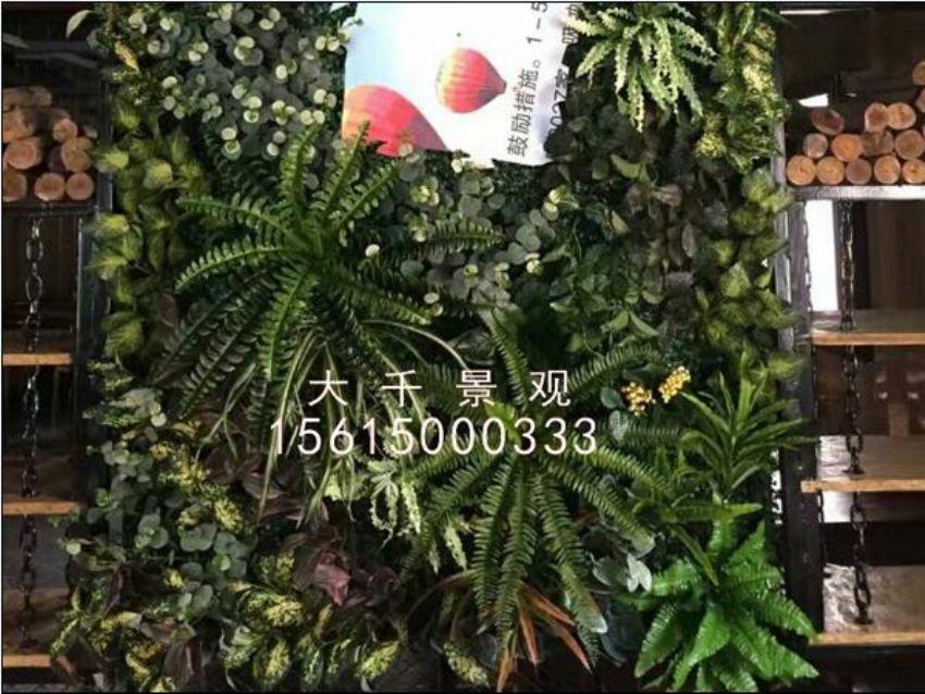 點擊查看詳細信息<br>標題：綠植墻 閱讀次數(shù)：1548
