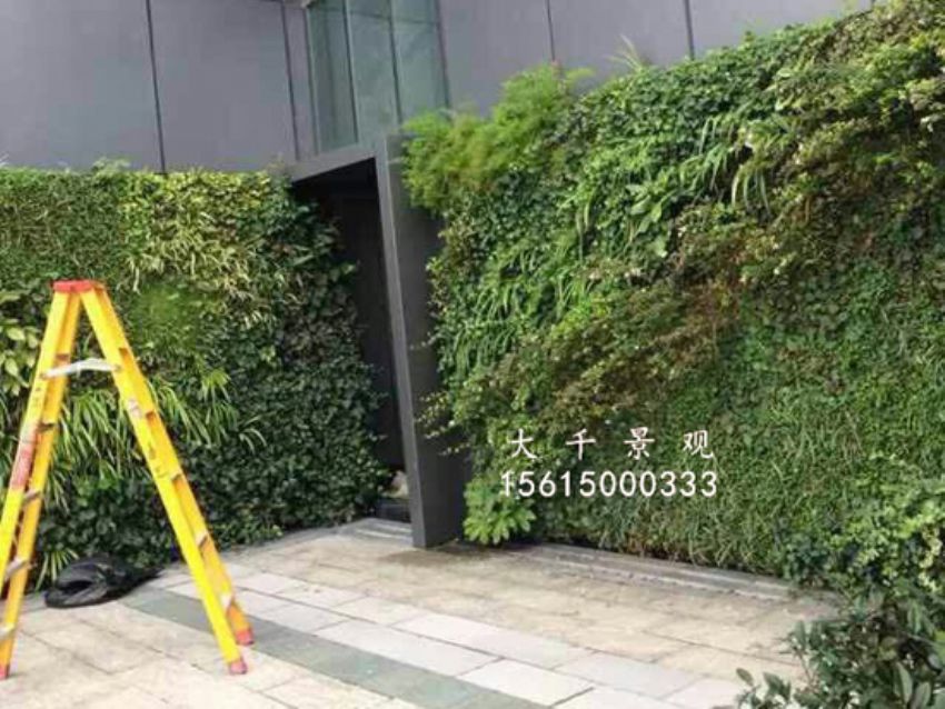 點擊查看詳細信息<br>標題：綠植墻 閱讀次數：1668
