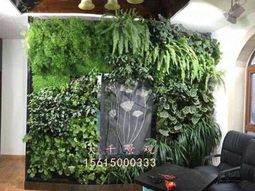 點擊查看詳細信息<br>標題：綠植墻 閱讀次數：1906