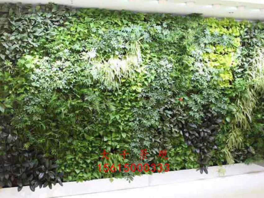 點擊查看詳細信息<br>標題：綠植墻 閱讀次數：2610
