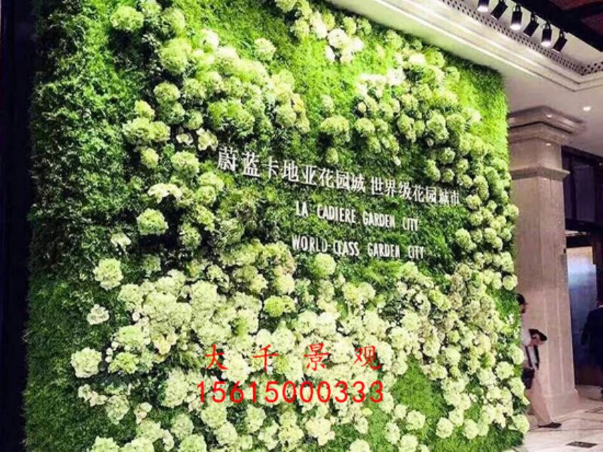 點擊查看詳細信息<br>標題：綠植墻 閱讀次數：2263