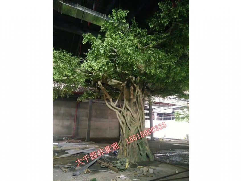 點擊查看詳細信息<br>標題：假樹 閱讀次數：2714